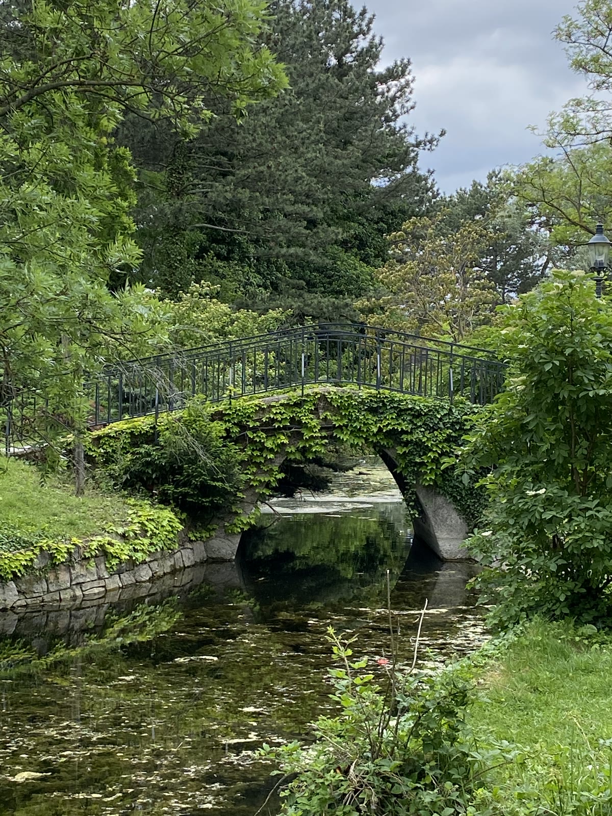 Begrünte Brücke über einen Wasserlauf im Floridsdorfer Wasserpark